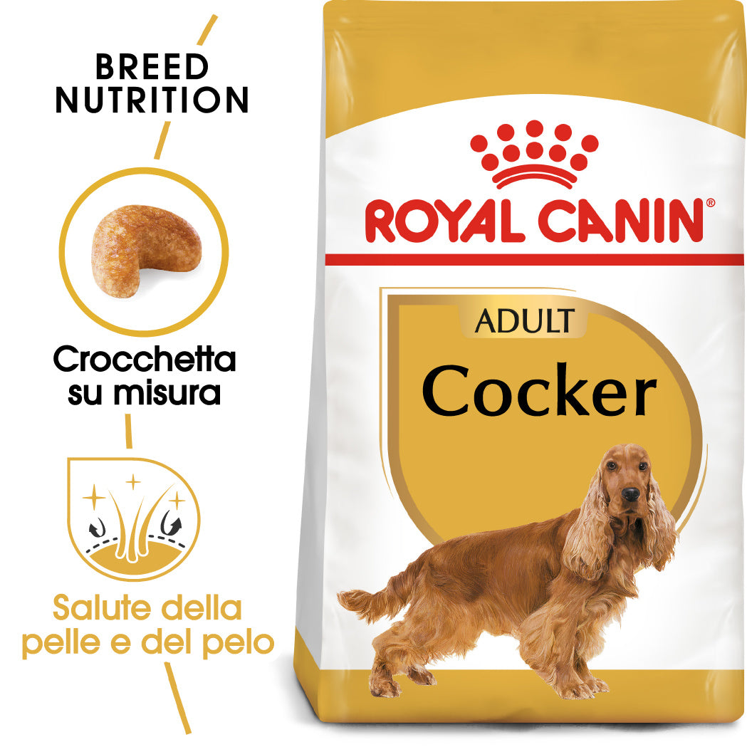Royal Canin Cocker Adult 12kg - Crocchette per Cani Royal Canin Cocker Adult 12kg - Crocchette per Cani